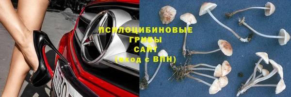 mdpv Нефтекумск